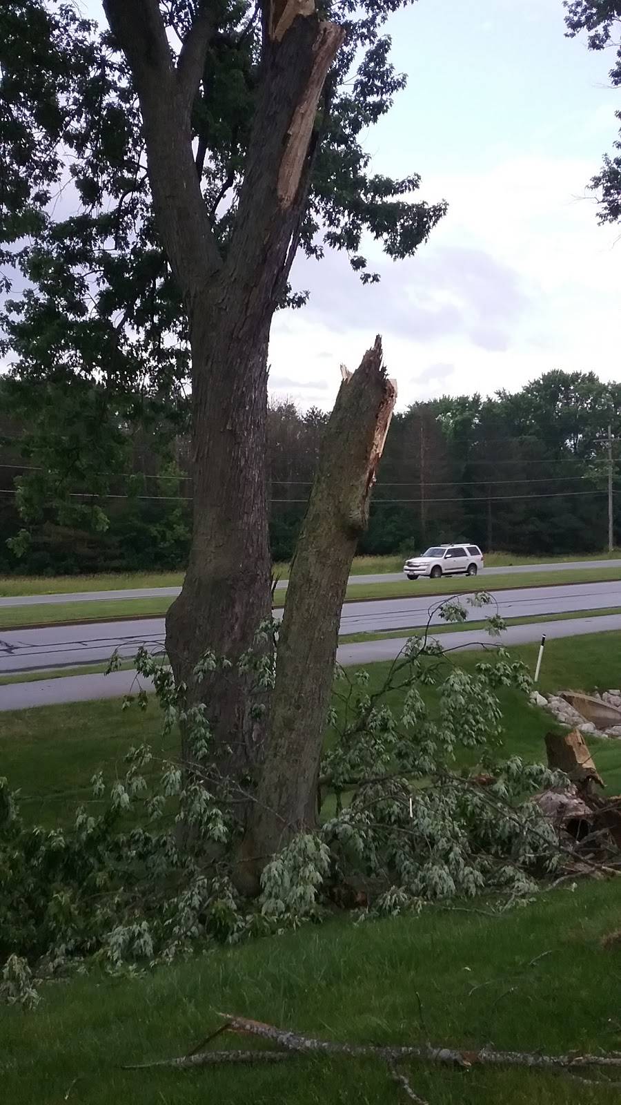 Le Gong Gourmet | restaurant | 2140 W St Paul Ave C, Waukesha, WI 53188, USA | 2628966688 OR +1 262-896-6688