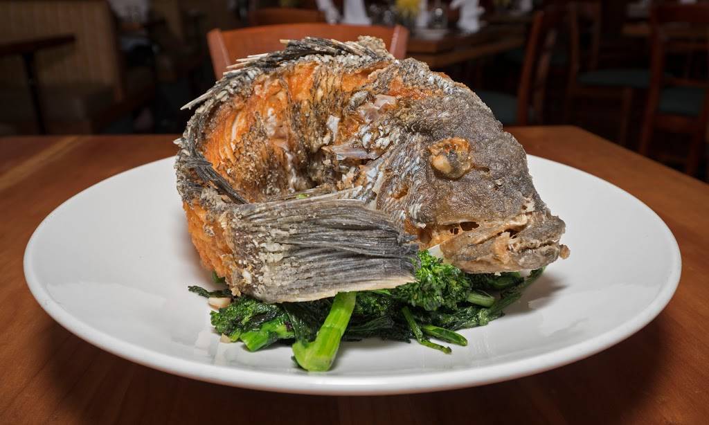 Eastchester Fish Gourmet | restaurant | 837 White Plains Rd, Scarsdale, NY 10583, USA | 9147253450 OR +1 914-725-3450