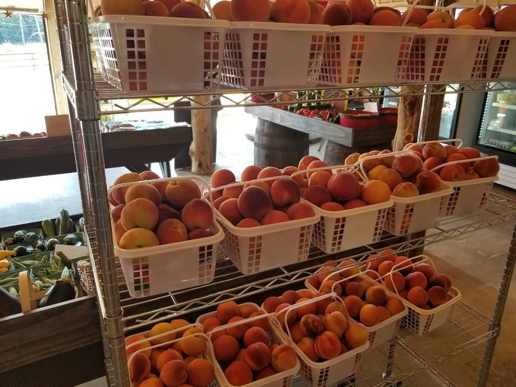 Kendrick Farm Market and Cafe | restaurant | 1665 Hwy 31 N, Prattville, AL 36067, USA | 3343652712 OR +1 334-365-2712