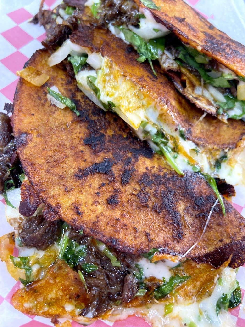 El Takonero (Food Truck) | restaurant | 2525 S Wayside Dr, Houston, TX 77023, USA | 7139669964 OR +1 713-966-9964