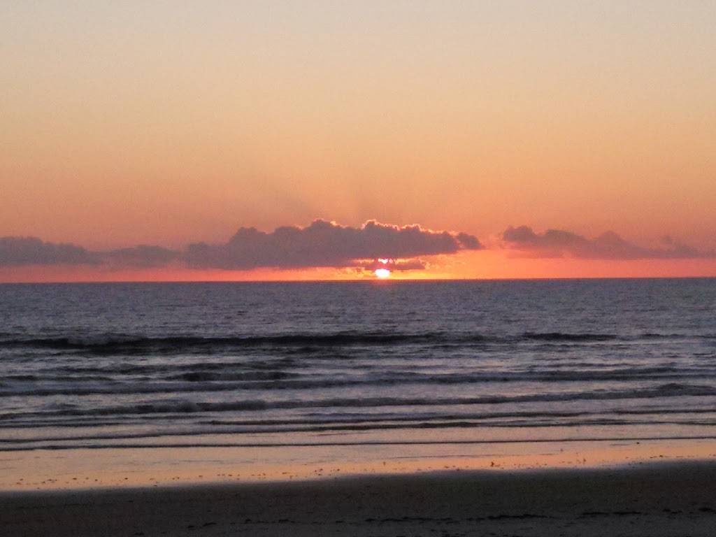 Seascape Restaurant | restaurant | 1401 S Atlantic Ave, New Smyrna Beach, FL 32169, USA | 3864260020 OR +1 386-426-0020