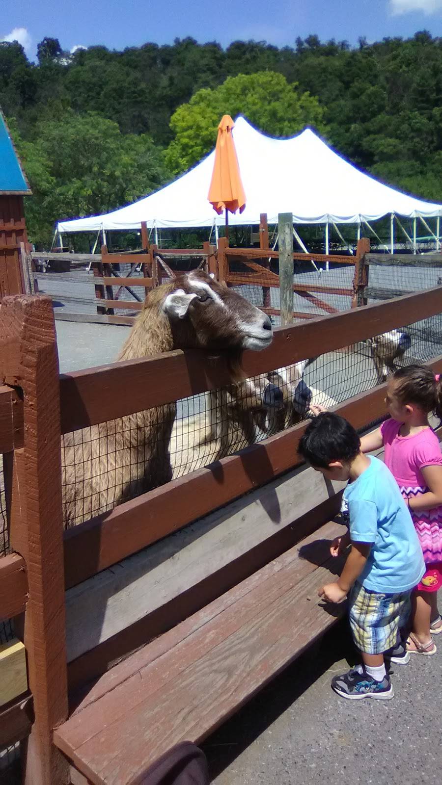 Culinary Experts | restaurant | 1825 W Chew St, Allentown, PA 18104, USA | 6108200800 OR +1 610-820-0800