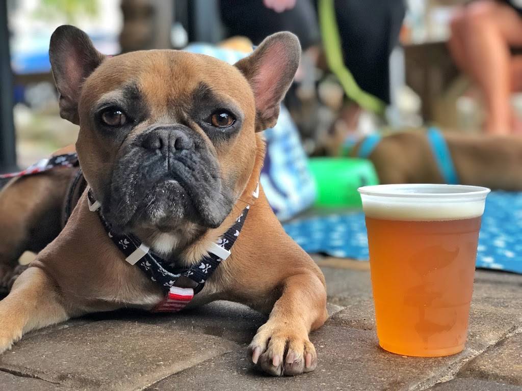 Tortugas Florida Kitchen & Bar | restaurant | 608 S Ocean Shore Blvd, Flagler Beach, FL 32136, USA | 3864390098 OR +1 386-439-0098