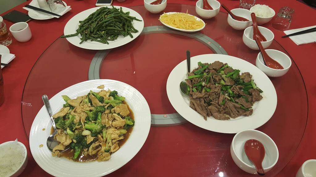 Qingdao | restaurant | 40-46 Main St, Flushing, NY 11354, USA | 3477320929 OR +1 347-732-0929