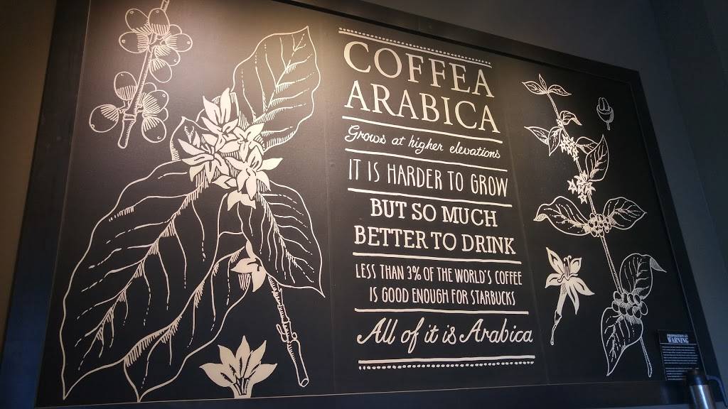 Starbucks | cafe | 1432 W San Carlos St #70, San Jose, CA 95126, USA | 4082759368 OR +1 408-275-9368