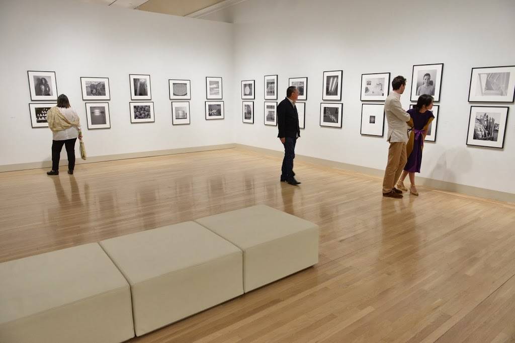 Hammer Museum | restaurant | 10899 Wilshire Blvd, Los Angeles, CA 90024, USA | 3104437000 OR +1 310-443-7000