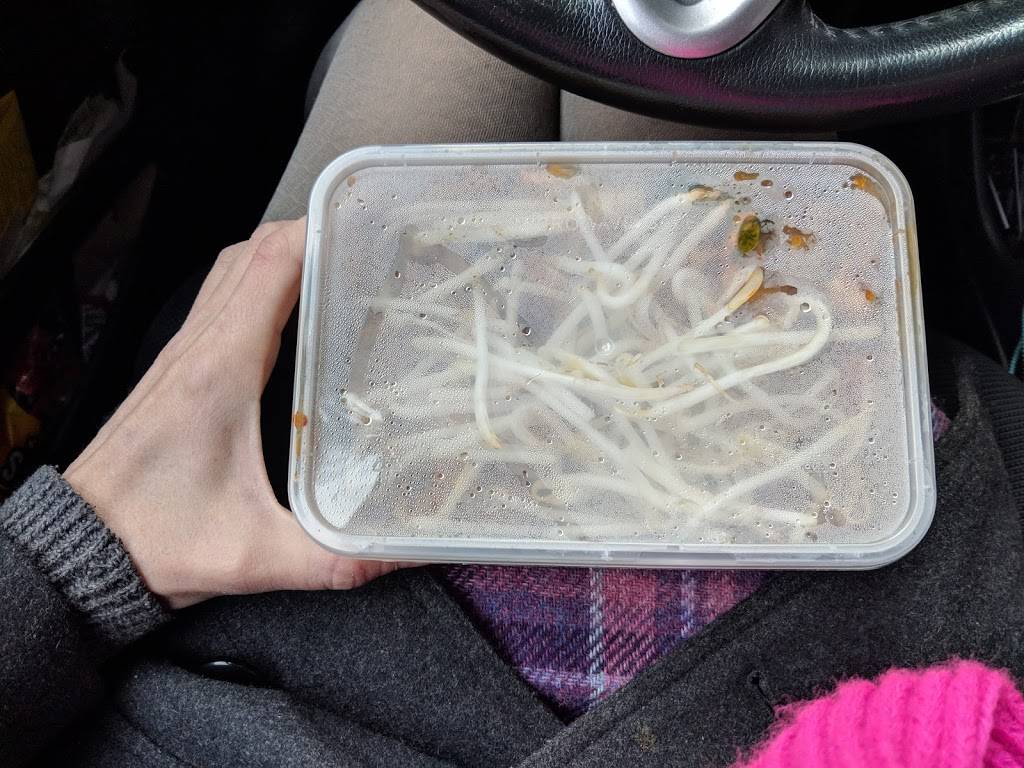 Thai Yummy | restaurant | 1010 SW Gibbs St, Portland, OR 97239, USA | 5036087668 OR +1 503-608-7668