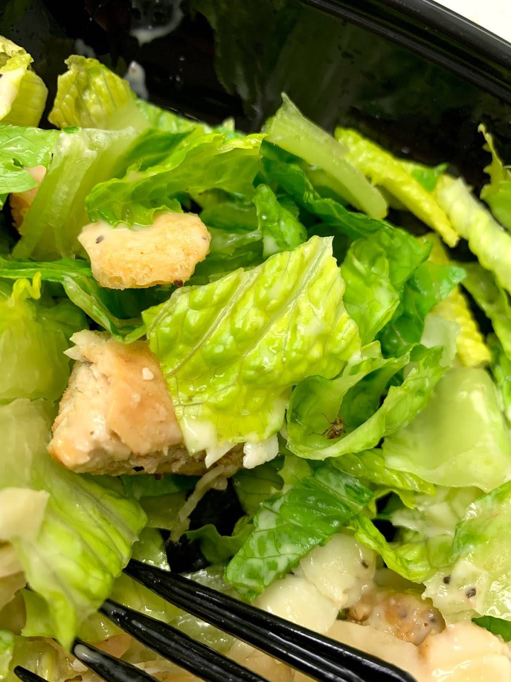 Wendys | restaurant | 2323 E 5th Ave, Anchorage, AK 99501, USA | 9072798271 OR +1 907-279-8271