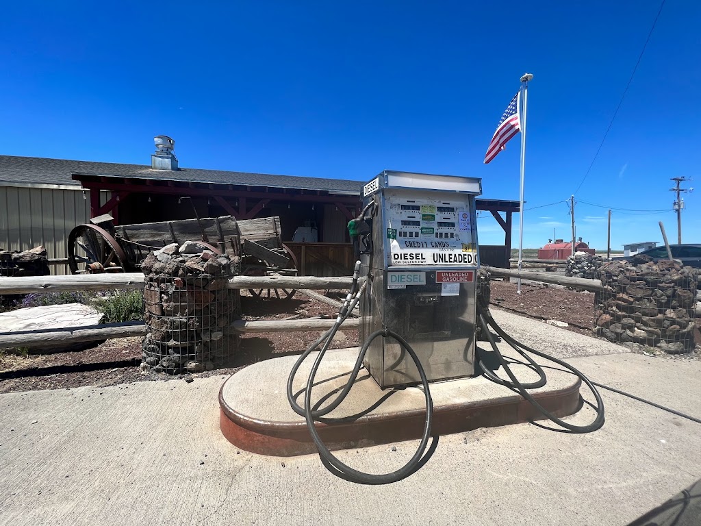 Crane Store & Cafe, Gas and RV camping. | restaurant | 57466 OR-78, Crane, OR 97732, USA | 5415895583 OR +1 541-589-5583