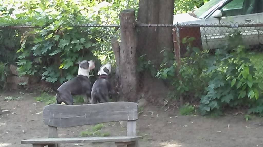 Beacon Cafe | cafe | 1084 Capitol Ave, Hartford, CT 06106, USA | 8602321578 OR +1 860-232-1578