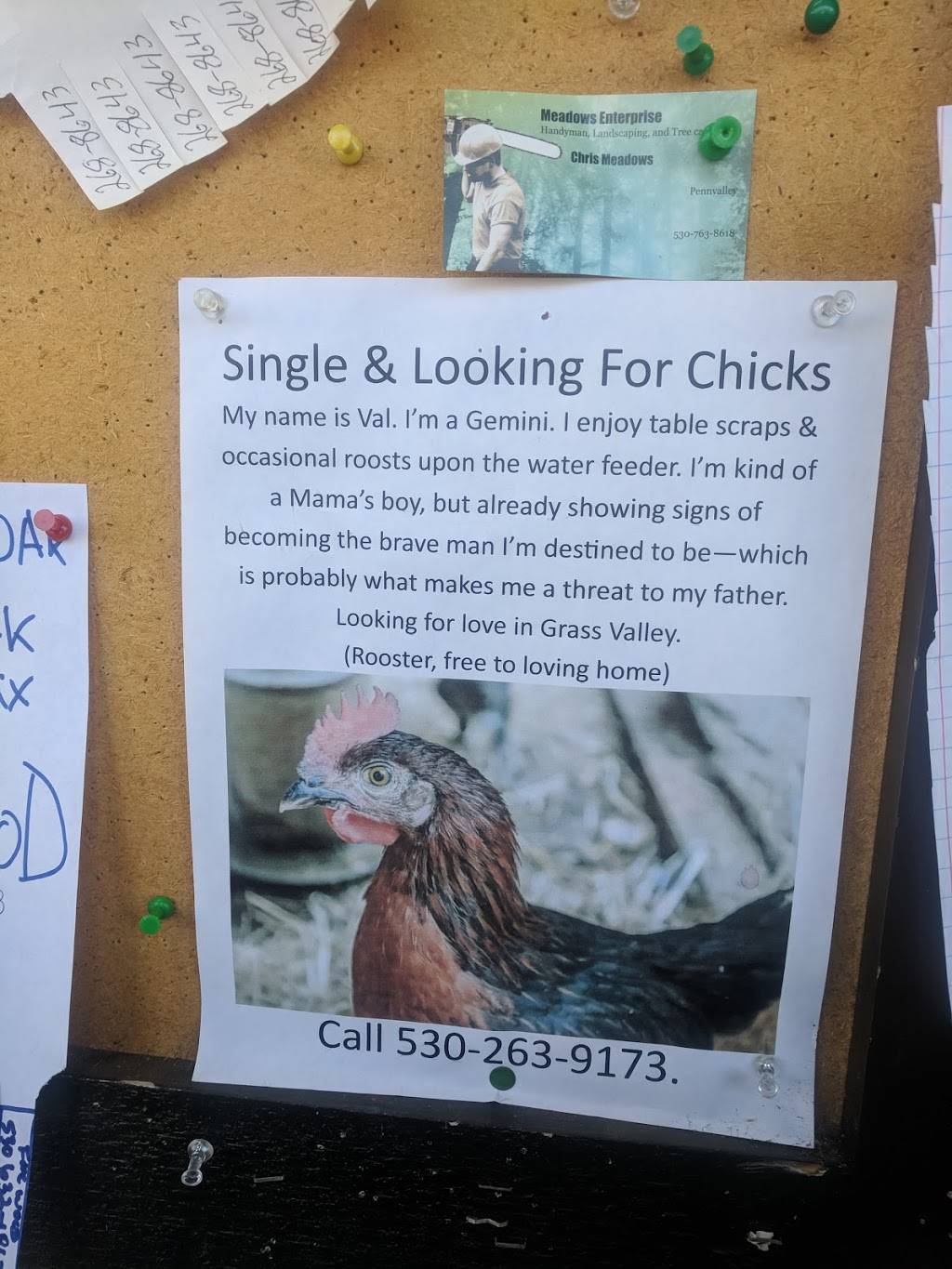 Day Break Cafe | restaurant | 17438 Penn Valley Dr #107, Penn Valley, CA 95946, USA | 5304321216 OR +1 530-432-1216