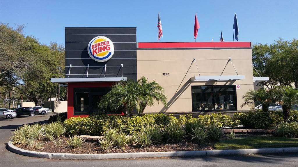 Burger King | restaurant | 3890 Sun City Center Blvd, Ruskin, FL 33573, USA | 8133313900 OR +1 813-331-3900