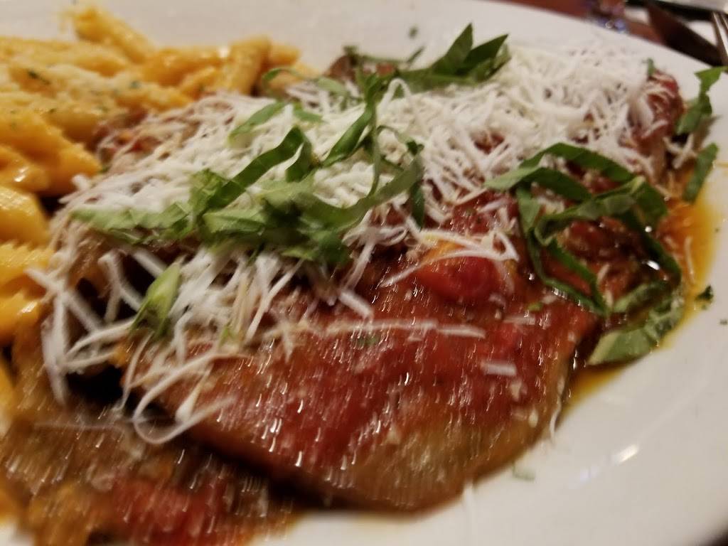 Cafe Cibo | restaurant | 8697 4th St N, St. Petersburg, FL 33702, USA | 7275791570 OR +1 727-579-1570