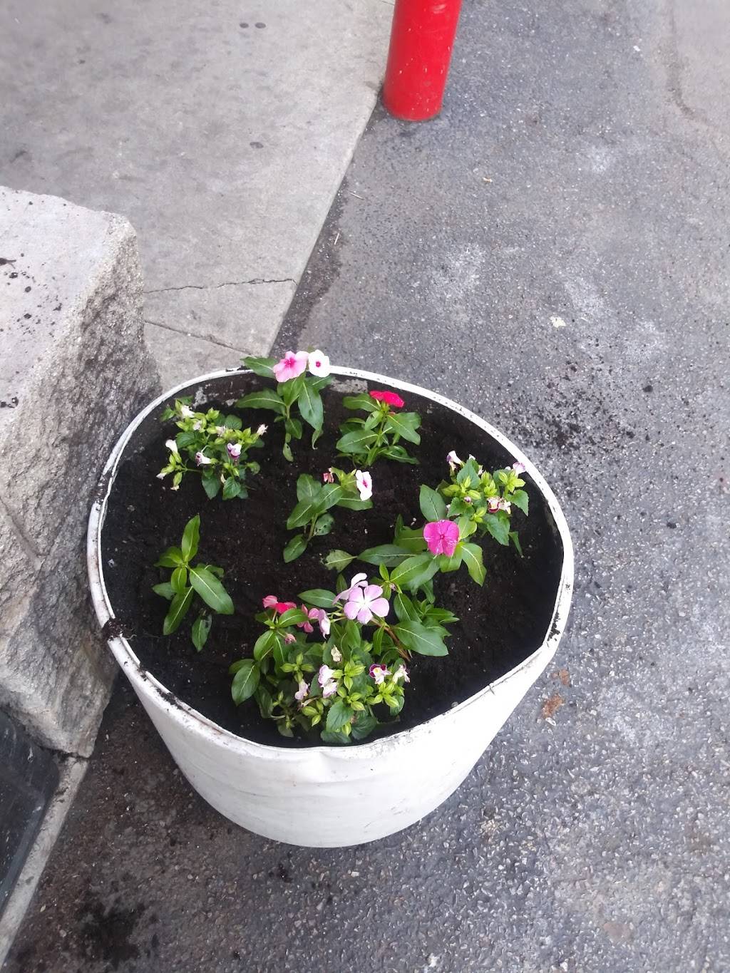 Dunkin Donuts | cafe | 2801 W Division St, Chicago, IL 60622, USA | 7733268536 OR +1 773-326-8536