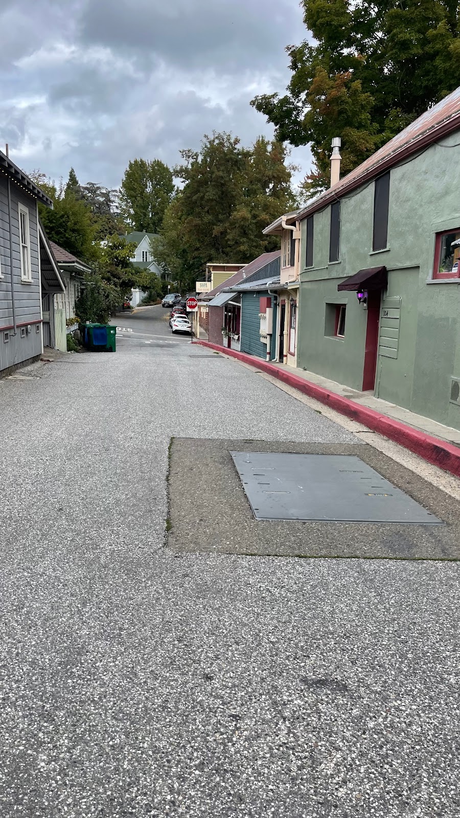 My French Mother | meal takeaway | 110 York St, Nevada City, CA 95959, USA | 5308020890 OR +1 530-802-0890