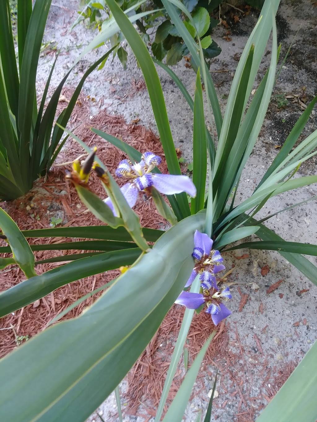 Sarku Japan | restaurant | 8000 W Broward Blvd Space # FC09, Plantation, FL 33388, USA | 9548881878 OR +1 954-888-1878