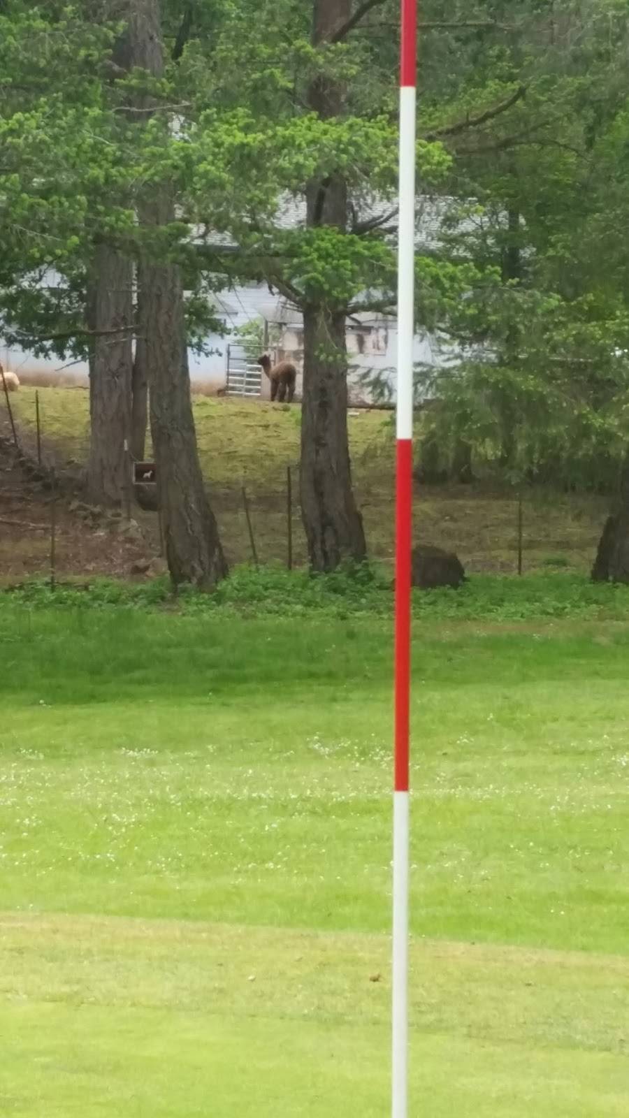 Pineway Golf Course | restaurant | 30949 Pineway Rd, Lebanon, OR 97355, USA | 5412588919 OR +1 541-258-8919