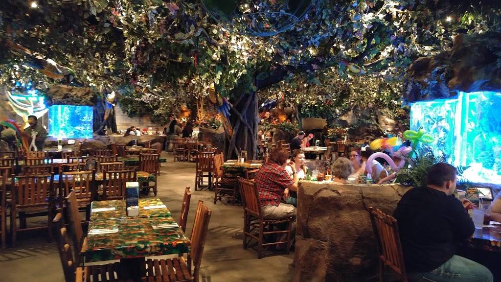 Rainforest Cafe | restaurant | 5310 Seawall Blvd, Galveston, TX 77551, USA | 4097446000 OR +1 409-744-6000