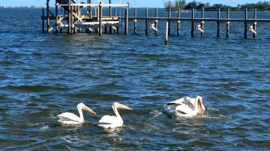 Judah & Son | restaurant | 13390 N Indian River Dr, Sebastian, FL 32958, USA | 7725895315 OR +1 772-589-5315