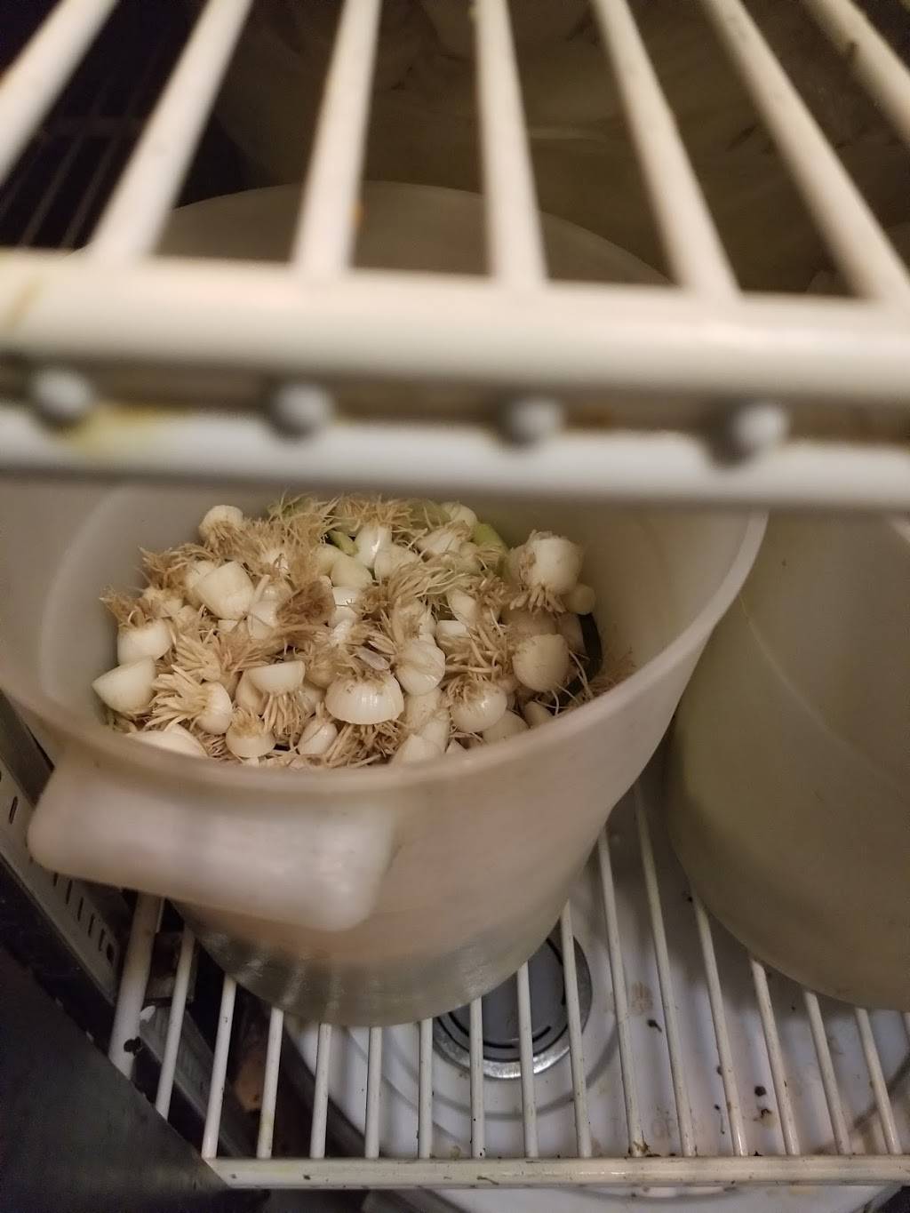 GOURMET PALACE | restaurant | 12910 W Magnolia Blvd, Sherman Oaks, CA 91423, USA | 8187630083 OR +1 818-763-0083