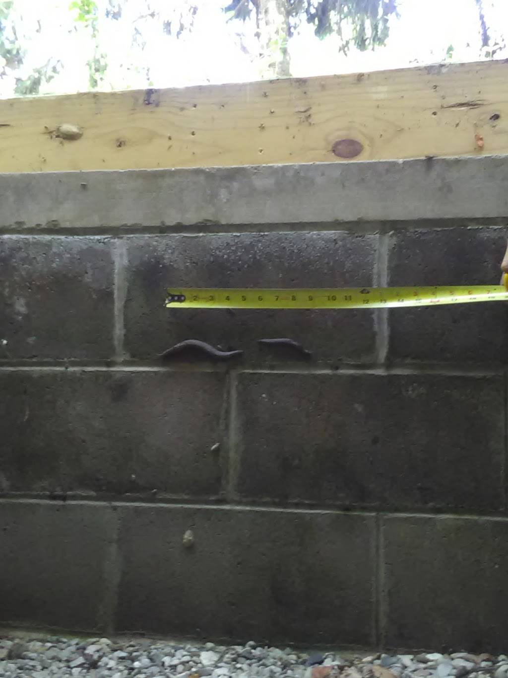 Cuisine Mont Blanc Inc | restaurant | 5215 N Illinois St, Indianapolis, IN 46208, USA | 3172553238 OR +1 317-255-3238