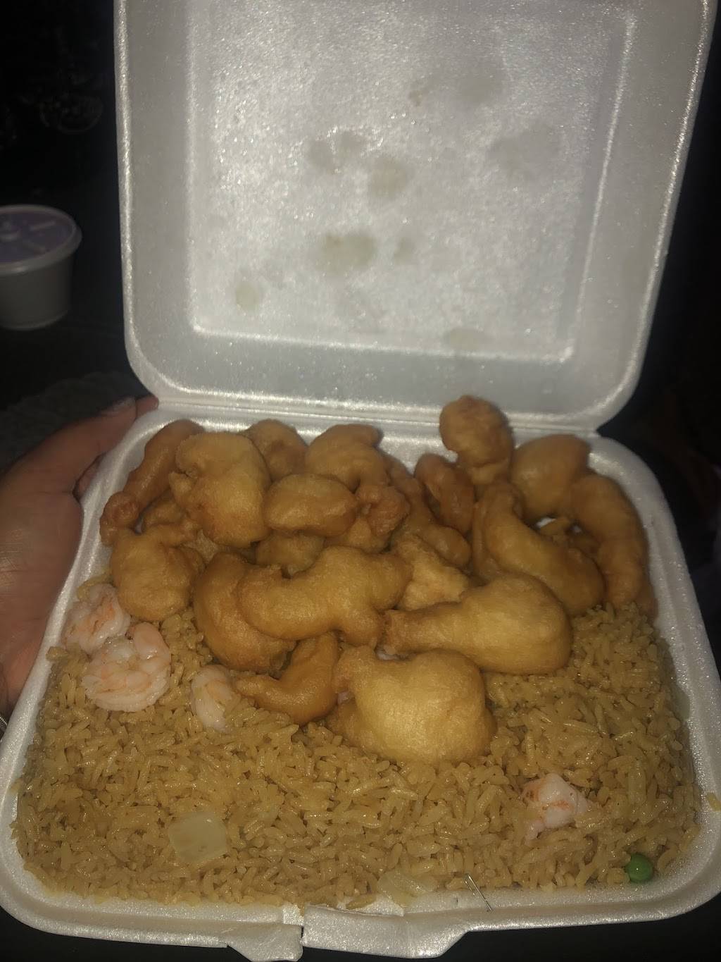 Hong Kong Chinese Food | restaurant | 2339 Ellsworth Rd, Ypsilanti, MI 48197, USA | 7344348806 OR +1 734-434-8806