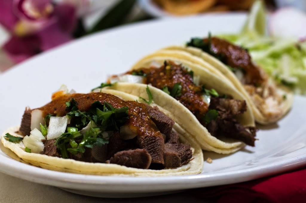 Salsa Verde Cuisine | restaurant | 970 Detroit Ave, Concord, CA 94518, USA | 9258258504 OR +1 925-825-8504