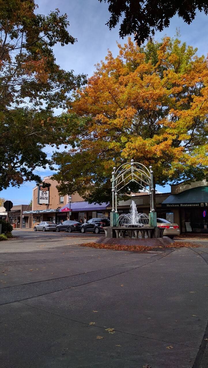 Starbucks | cafe | 502 Main St, Edmonds, WA 98020, USA | 4257786093 OR +1 425-778-6093