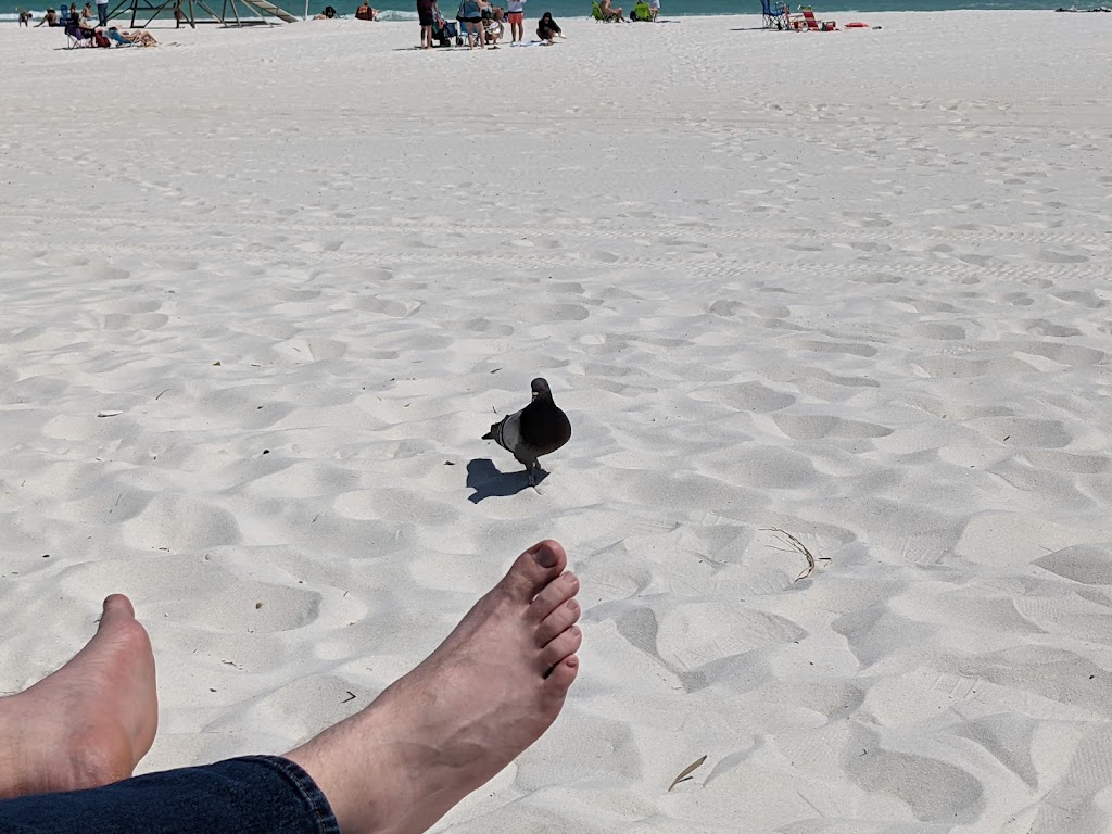 Casino Beach Bar | restaurant | 41 Fort Pickens Rd, Gulf Breeze, FL 32561, USA | 8509326313 OR +1 850-932-6313