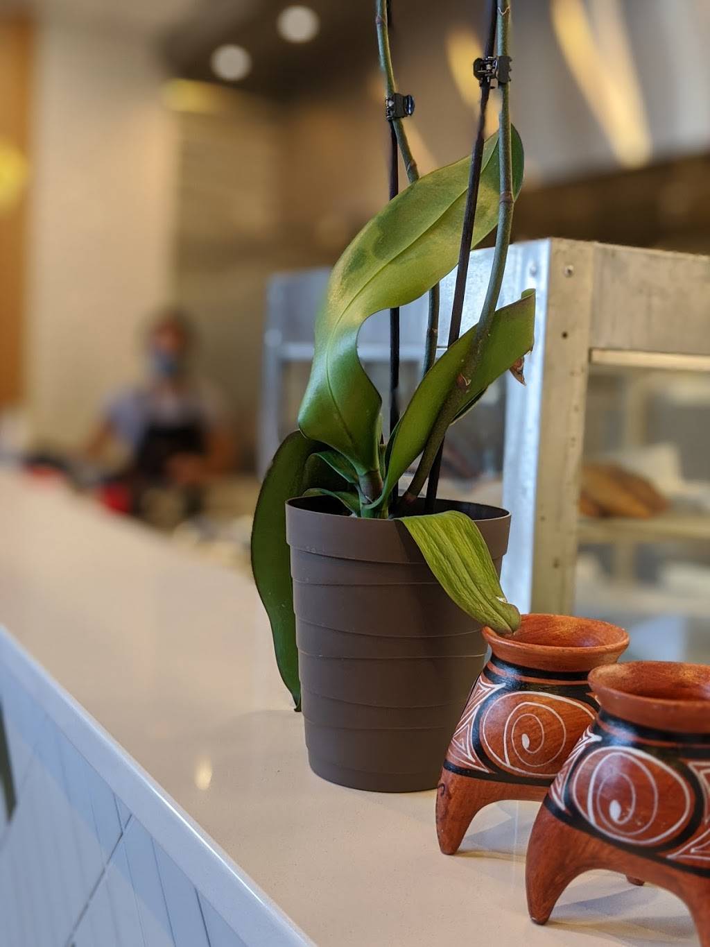 El Arepon | restaurant | 3618 Farnam St, Omaha, NE 68131, USA | 4024038146 OR +1 402-403-8146