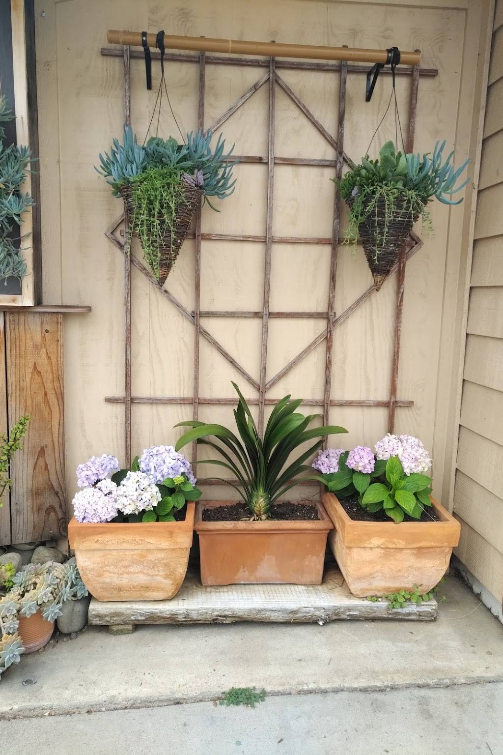 Noi & Dois 2nd Street Cafe | restaurant | 1325 2nd St, San Luis Obispo, CA 93402, USA | 8054393441 OR +1 805-439-3441