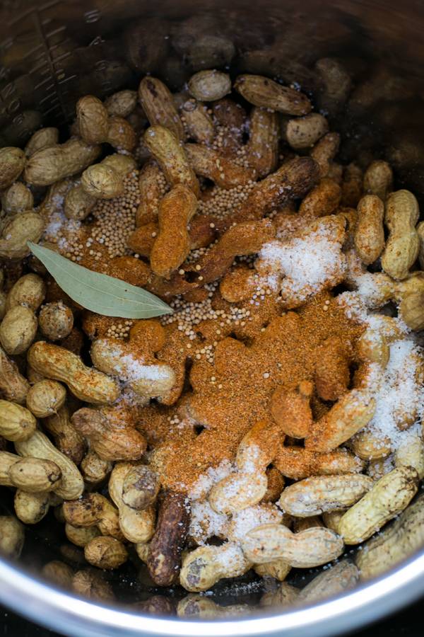 PINKYS EXOTIC BOILED PEANUTS | restaurant | 136 Mason St, Auburndale, FL 33823, USA | 8638695409 OR +1 863-869-5409