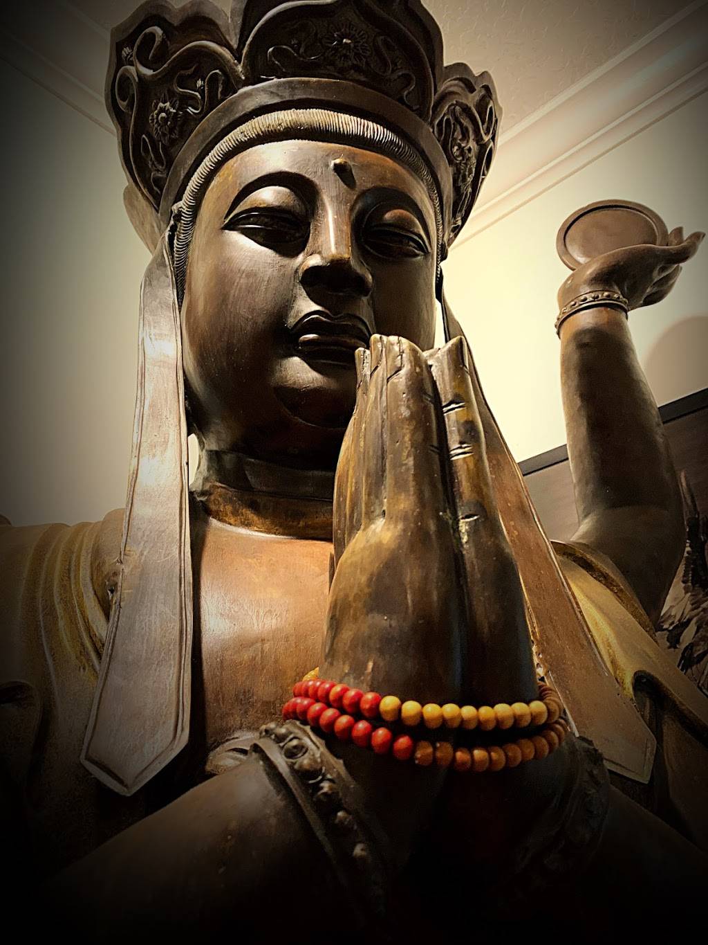 The Bodhi Tree Café | restaurant | 1938 Adams Ln, Sarasota, FL 34236, USA | 9417028552 OR +1 941-702-8552