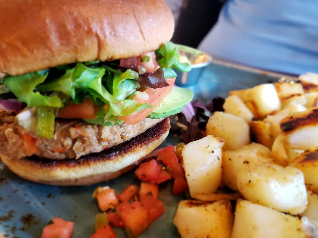 First Watch - South I Drive | cafe | 11951 International Dr Ste A, Orlando, FL 32821, USA | 4077967050 OR +1 407-796-7050