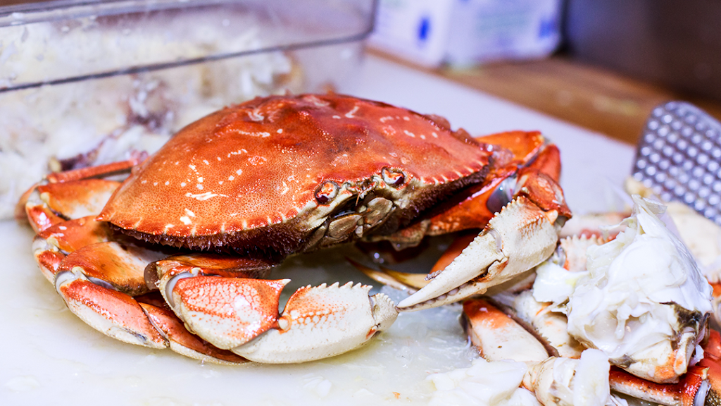 Janes Seafood & Chinese Restaurant | restaurant | 1201 Jane St, New Iberia, LA 70563, USA | 3373655412 OR +1 337-365-5412