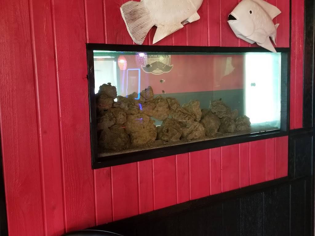 Club Velocity | restaurant | W14494 WI-16, Wisconsin Dells, WI 53965, USA | 6084349206 OR +1 608-434-9206