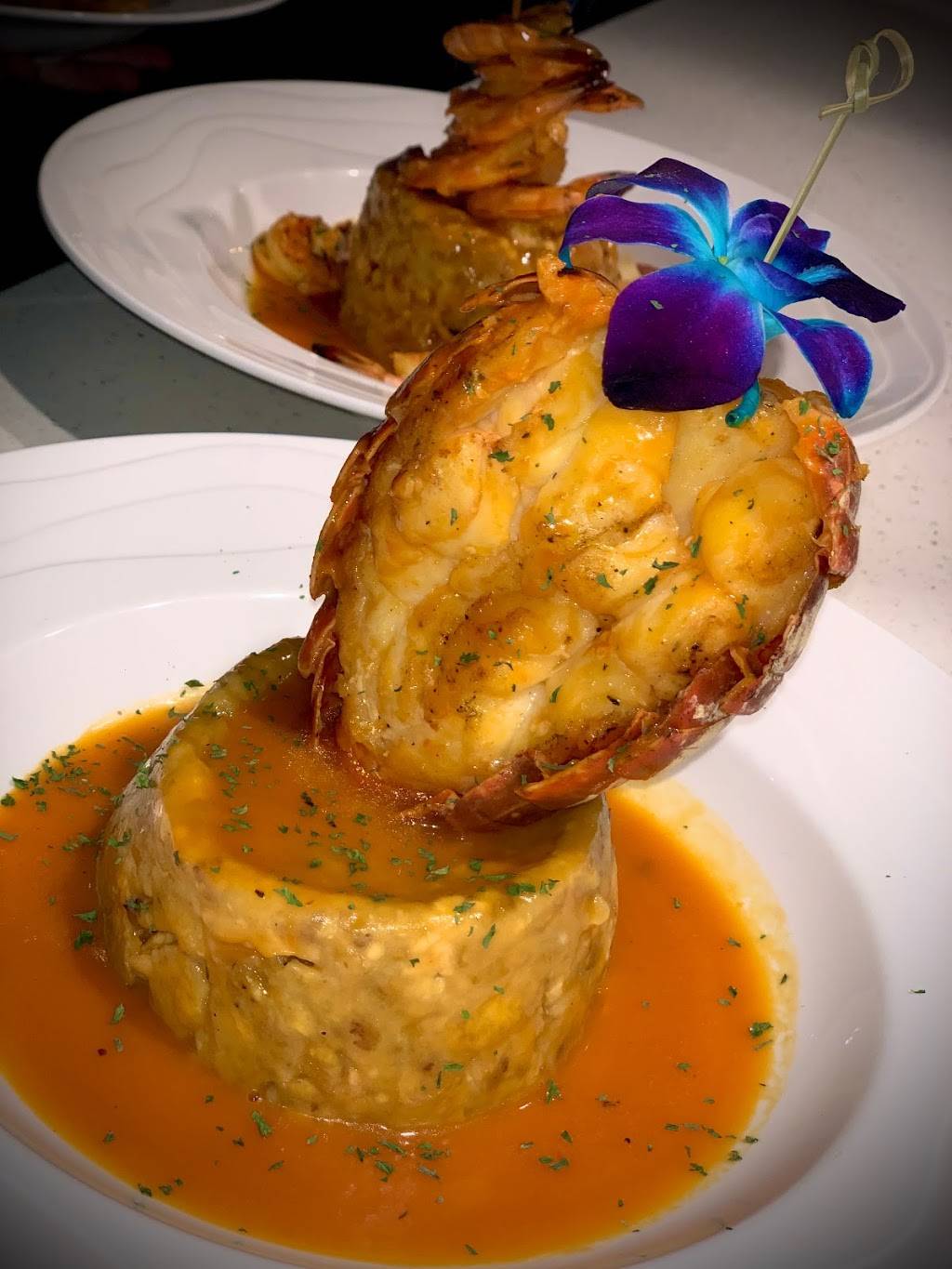 Jubilee Latin Kitchen and Bar | restaurant | 1250 Sunrise Mall, Massapequa, NY 11758, USA | 5165411110 OR +1 516-541-1110