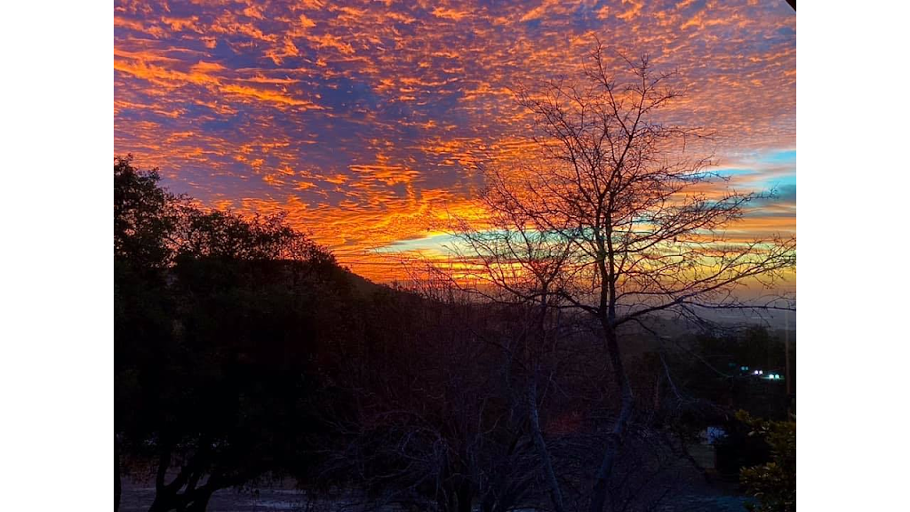 La Vie Estate Winery | restaurant | 9816 Ranch Rd 1623, Blanco, TX 78606, USA | 8302620903 OR +1 830-262-0903