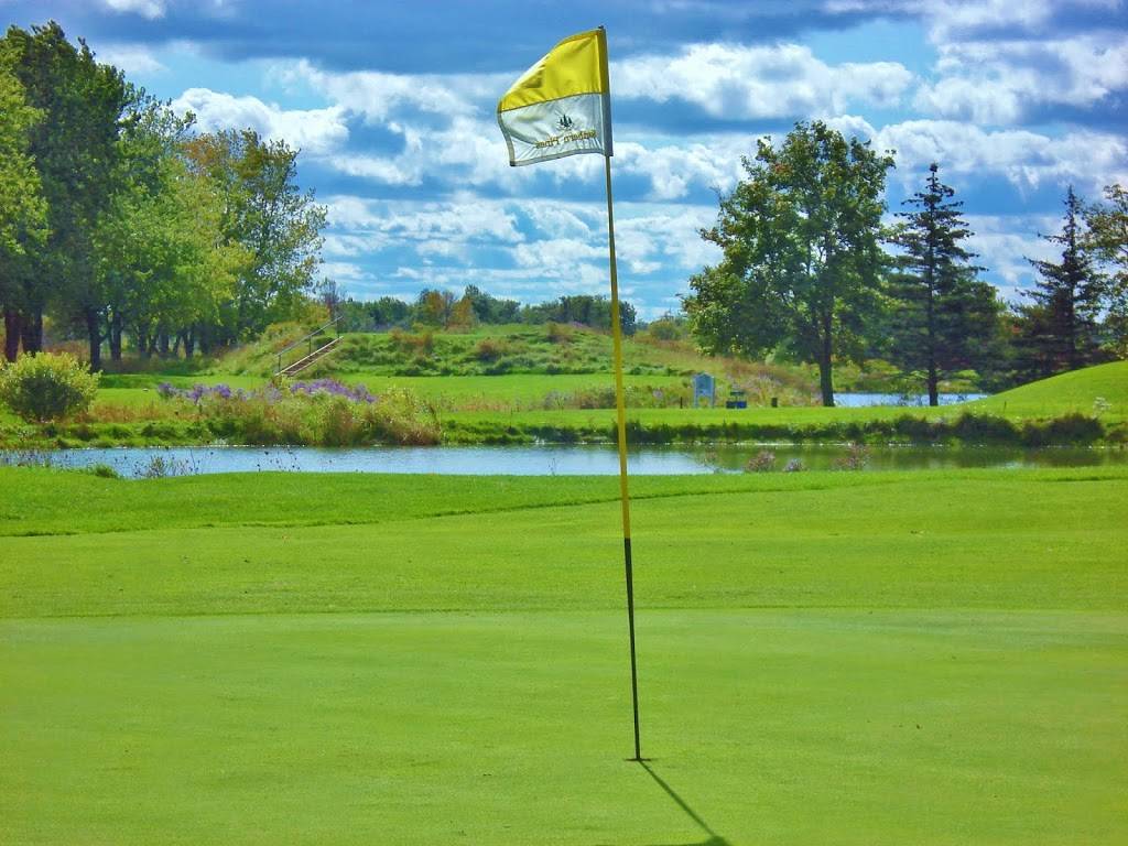 Southern Pines Golf & Country Club | meal takeaway | 8453 Airport Rd E, Mount Hope, ON L0R 1W0, Canada | 9056796308 OR +1 905-679-6308