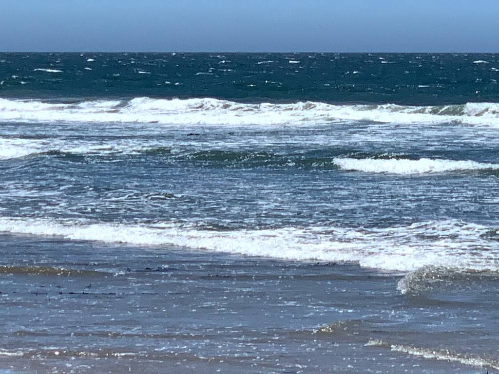 Lahainas | restaurant | 3975 S Higuera St #102, San Luis Obispo, CA 93401, USA | 8055445540 OR +1 805-544-5540