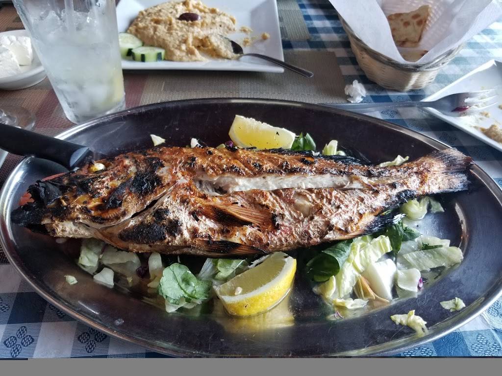 Athena Restaurant | restaurant | 264 Keswick Ave, Glenside, PA 19038, USA | 2158841777 OR +1 215-884-1777