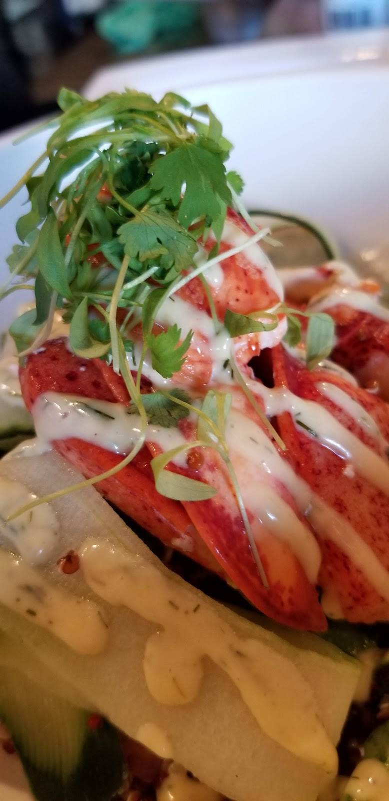 Thirsty Gull | restaurant | 9 East Ave Unit F, Westerly, RI 02891, USA | 4015961936 OR +1 401-596-1936