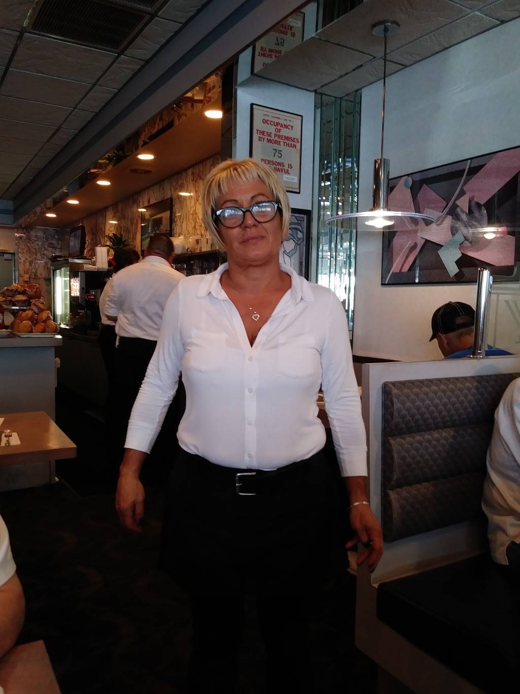 Blue Angel Diner | restaurant | 1000 Old Country Rd, Plainview, NY 11803, USA | 5169321160 OR +1 516-932-1160