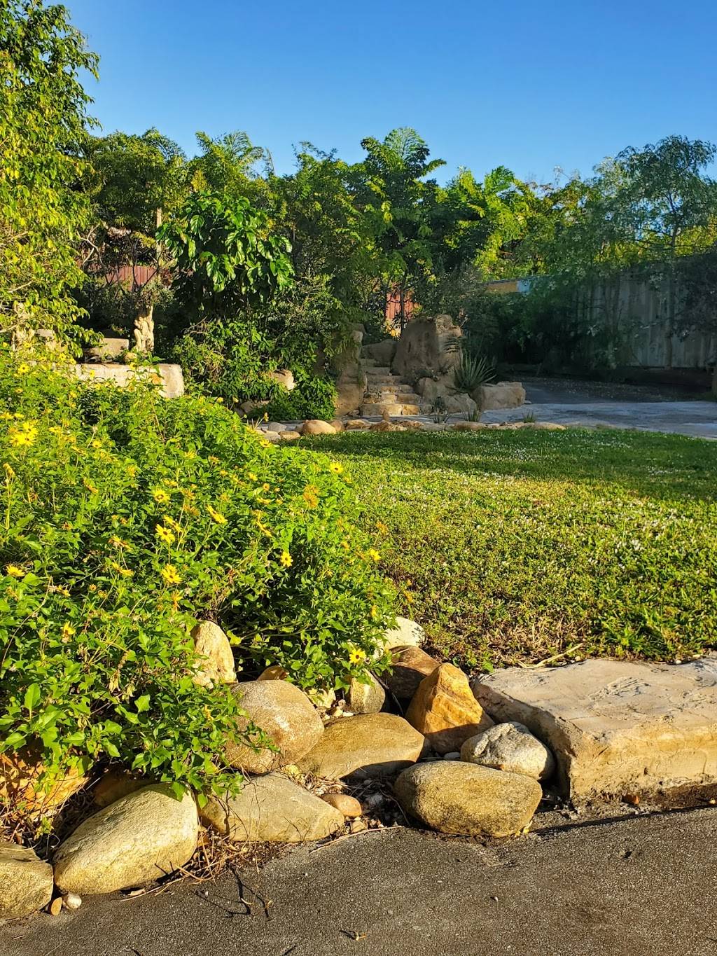 Floresta Delray Vegan Cafe | restaurant | 2219 Seacrest Blvd Unit 1, Delray Beach, FL 33444, USA | 5615016768 OR +1 561-501-6768