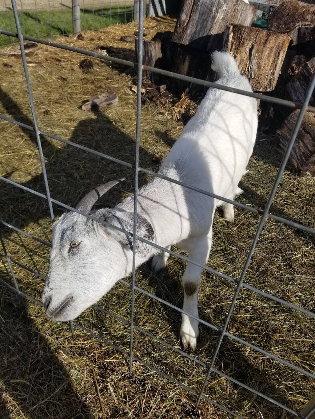 Happ-E-Hill Pumpkin Farm | restaurant | N4380 WI-35, Prescott, WI 54021, USA | 7157922676 OR +1 715-792-2676