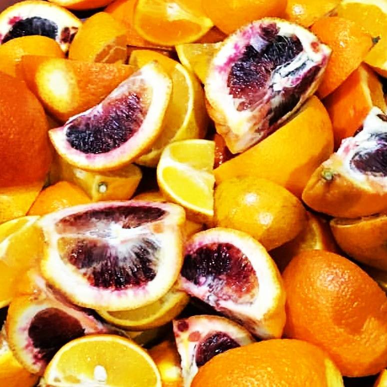 Jetty Bar & Grill | restaurant | 832 W Beech St, Long Beach, NY 11561, USA | 5164421338 OR +1 516-442-1338