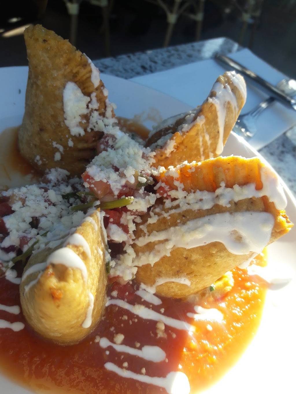 Zocalo | restaurant | 466 Howe Ave, Sacramento, CA 95825, USA | 9162520303 OR +1 916-252-0303