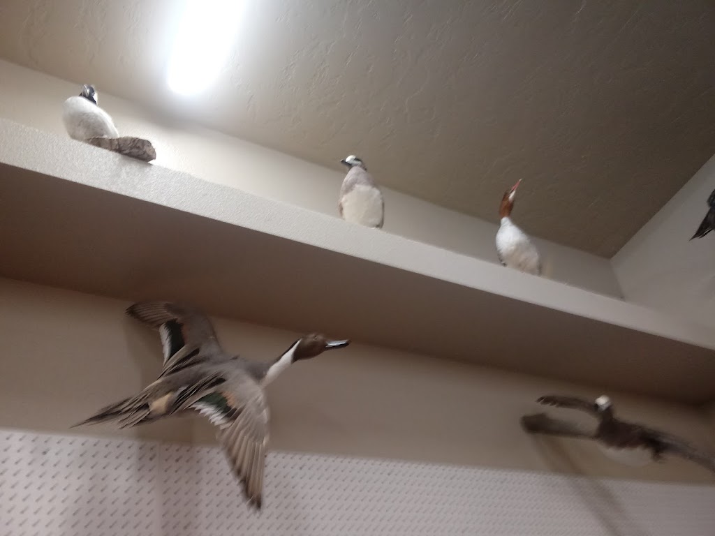 Willowcreek Store & Cafe | restaurant | 4712 John Day Hwy, Vale, OR 97918, USA | 5412090605 OR +1 541-209-0605