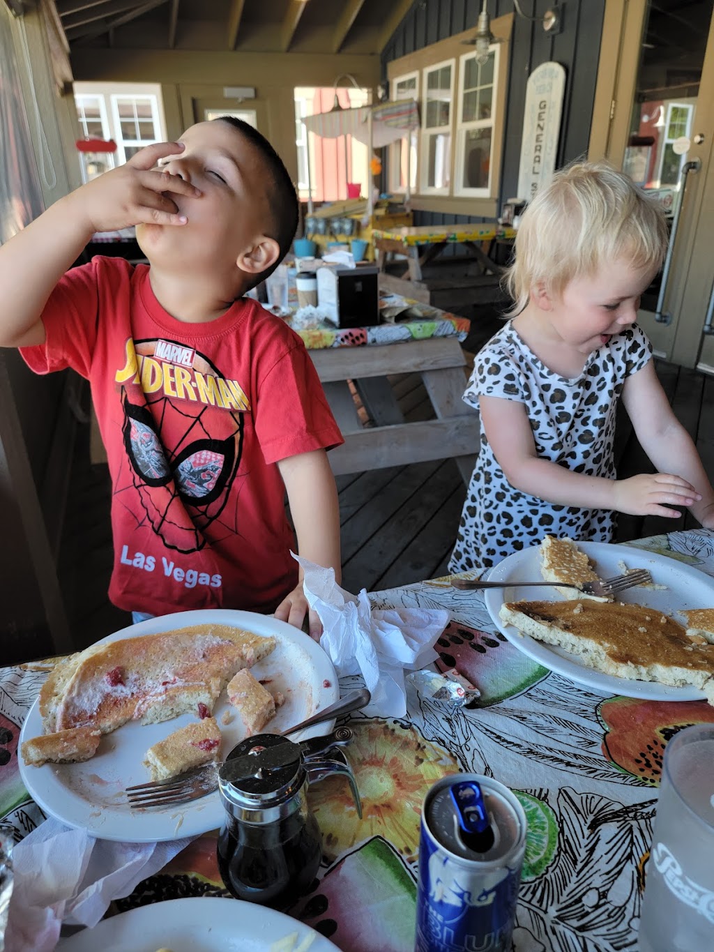 Veranda Beach Diner | restaurant | 299 Eastlake Rd, Oroville, WA 98844, USA | 5092944273 OR +1 509-294-4273