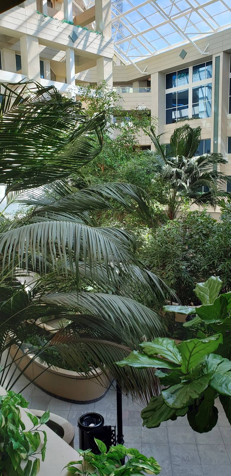 Subway | meal takeaway | 2300 Patterson St, Nashville, TN 37203, USA | 6153424039 OR +1 615-342-4039